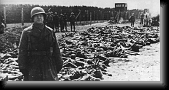 The Liberating US Army at Dachau. * 500 x 256 * (58KB)